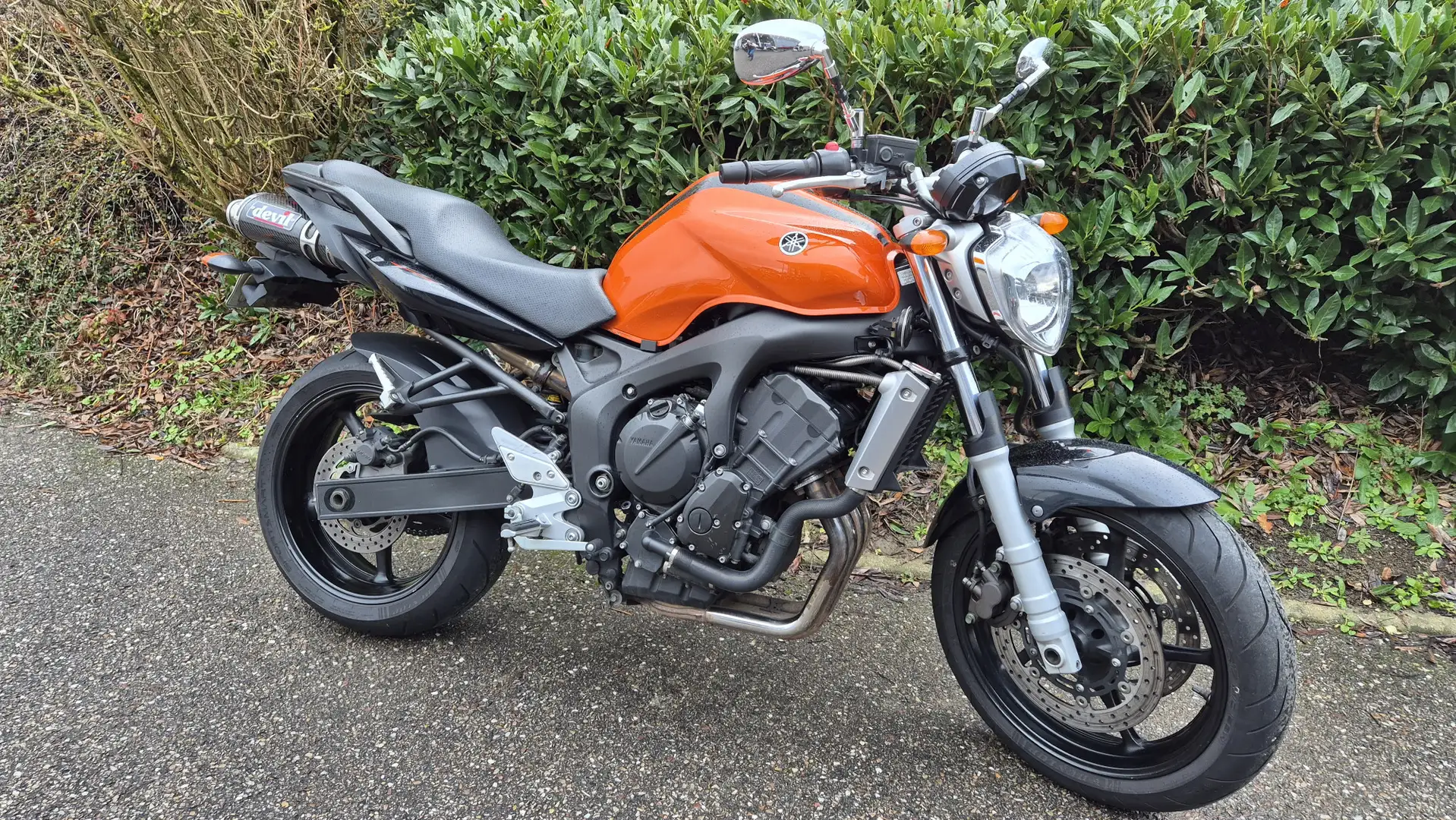 Yamaha FZ 6 Oranje - 1