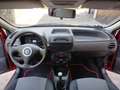 Fiat Punto 1.2 BENZINA 60cv / 46.000km / Uniproprietario Rouge - thumbnail 10