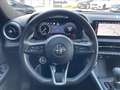 Alfa Romeo Tonale 1.5 hybrid speciale 160cv tct7 Rood - thumbnail 11