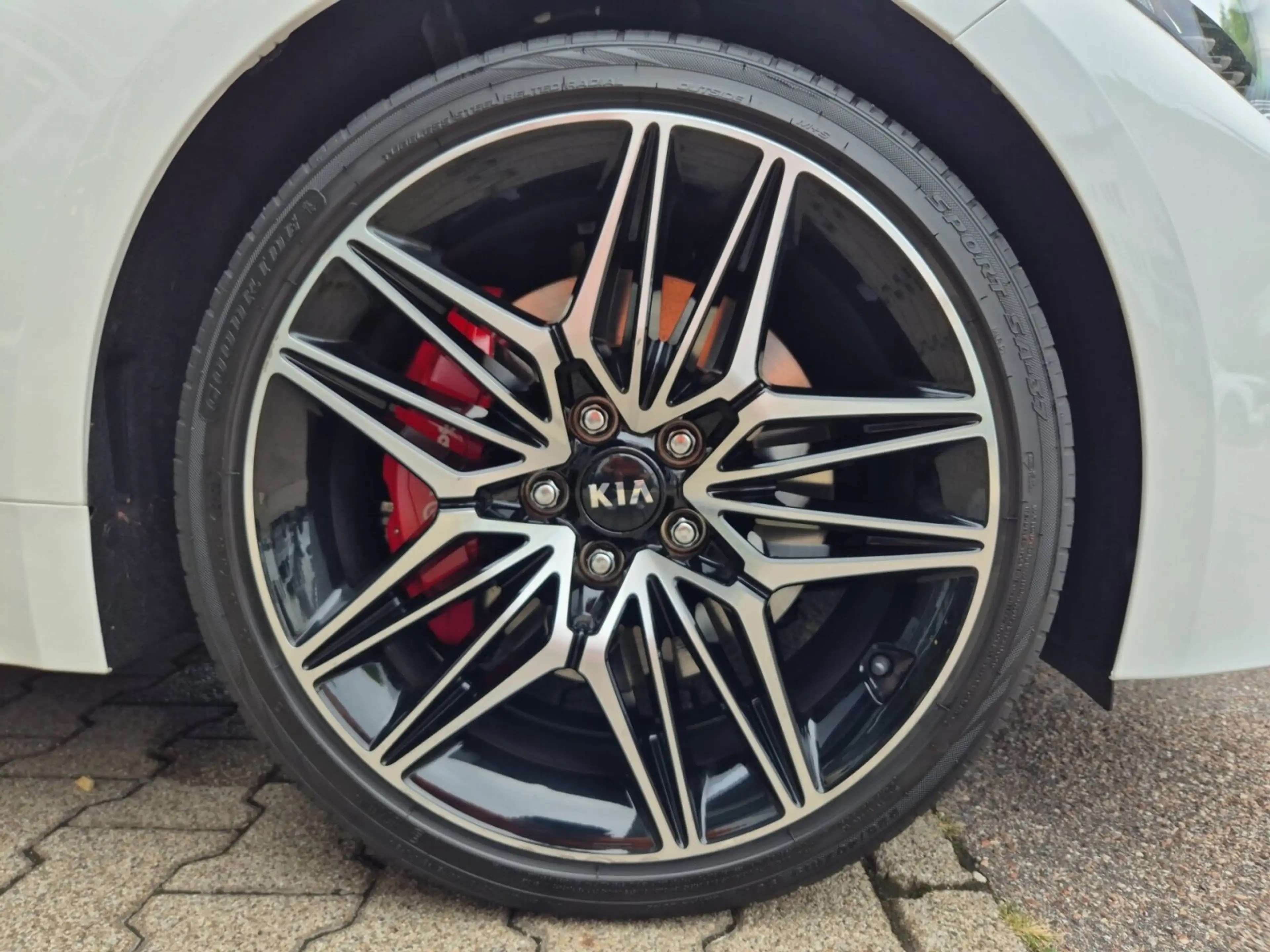 Kia Stinger Stinger 3.3 V6 4WD GT Navi GD Distanzscheiben — photo 13