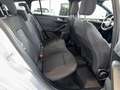 Ford Focus Turnier 1.5 EcoBlue ACTIVE X, ACC, AHK! Navi Silber - thumbnail 20