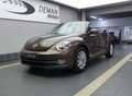 Volkswagen Beetle 1.2 TSI* Capteurs de stationnement* Coupe-vent Brun - thumbnail 1