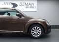 Volkswagen Beetle 1.2 TSI* Capteurs de stationnement* Coupe-vent Brown - thumbnail 15