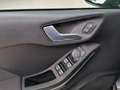 Ford Fiesta 125pk.Hybrid. Titanium. Grijs - thumbnail 7