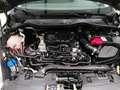 Ford Fiesta 125pk.Hybrid. Titanium. Grijs - thumbnail 15
