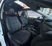 Nissan X-Trail 1.7 dci Tekna Salomon 7 posti promo Bianco - thumbnail 13