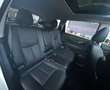 Nissan X-Trail 1.7 dci Tekna Salomon 7 posti promo Bianco - thumbnail 14
