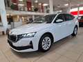 Skoda Octavia Combi 1.5 TSI Selection wenig KM* Top Weiß - thumbnail 1