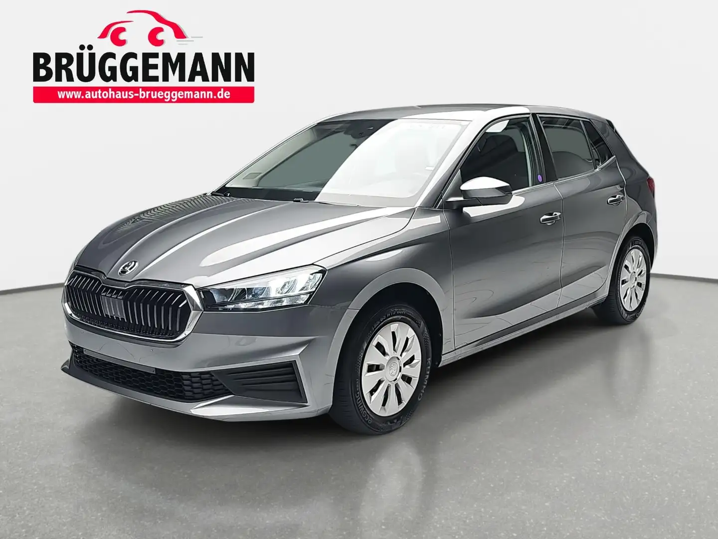 Skoda Fabia FABIA 1.0 MPI SELECTION LED AUDIO KLIMAAUTO PDC Gri - 1