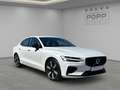 Volvo S60 T8 AWD Recharge Ultimate Dark 360° HUD STDHZ Белый - thumbnail 7