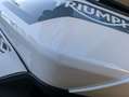 Triumph Tiger 900 Rally Bianco - thumbnail 11