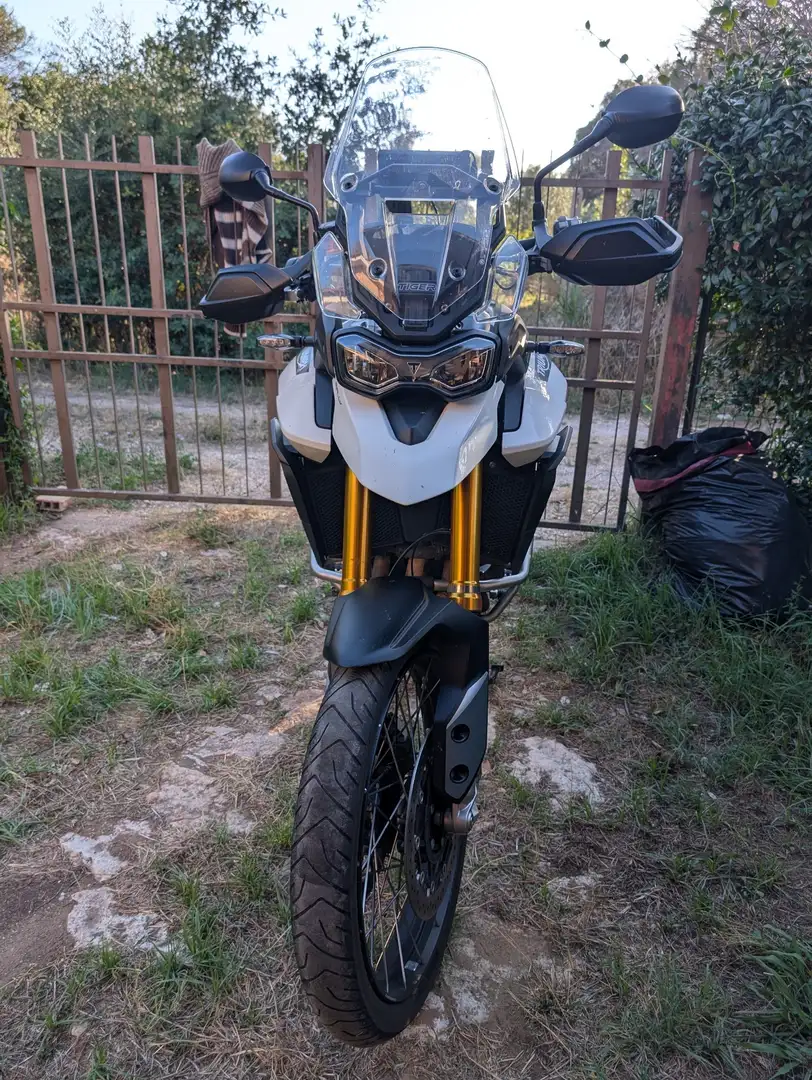 Triumph Tiger 900 Rally Bianco - 1