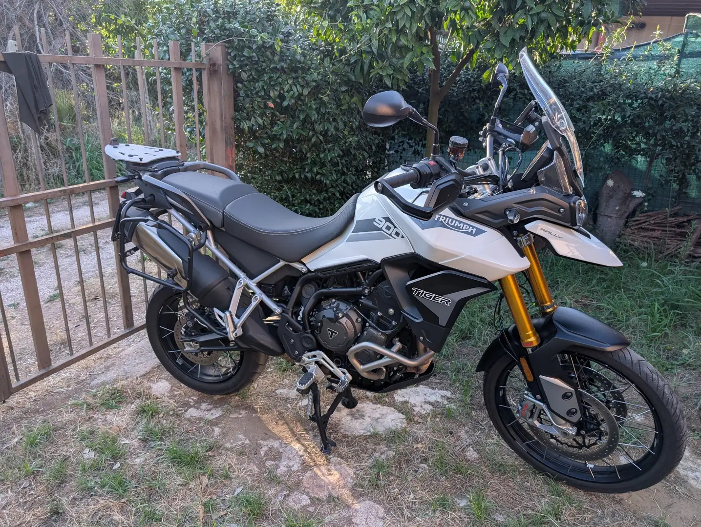 Triumph Tiger 900 Rally Bianco - 2