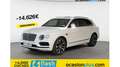 Bentley Bentayga Hybrid Blanco - thumbnail 1