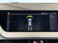 BMW 116 116d Advantage 8fach/PDC/LED/SHZ/Klima/Navi/Apple Grau - thumbnail 21