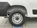 Toyota Proace Max 35 2.2d 140cv L3H2 Білий - thumbnail 11