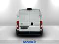 Toyota Proace Max 35 2.2d 140cv L3H2 Білий - thumbnail 8