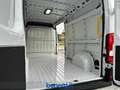 Toyota Proace Max 35 2.2d 140cv L3H2 Білий - thumbnail 12