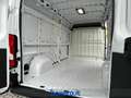 Toyota Proace Max 35 2.2d 140cv L3H2 Білий - thumbnail 13