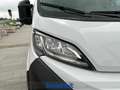 Toyota Proace Max 35 2.2d 140cv L3H2 Білий - thumbnail 4