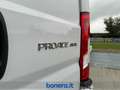 Toyota Proace Max 35 2.2d 140cv L3H2 Білий - thumbnail 9