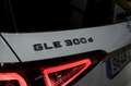 Mercedes-Benz GLE 300 -BENZ   d 4MATIC Blanco - thumbnail 20