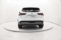 Nissan Qashqai 1.3 mild hybrid N-Connecta 2wd 140cv Bianco - thumbnail 4