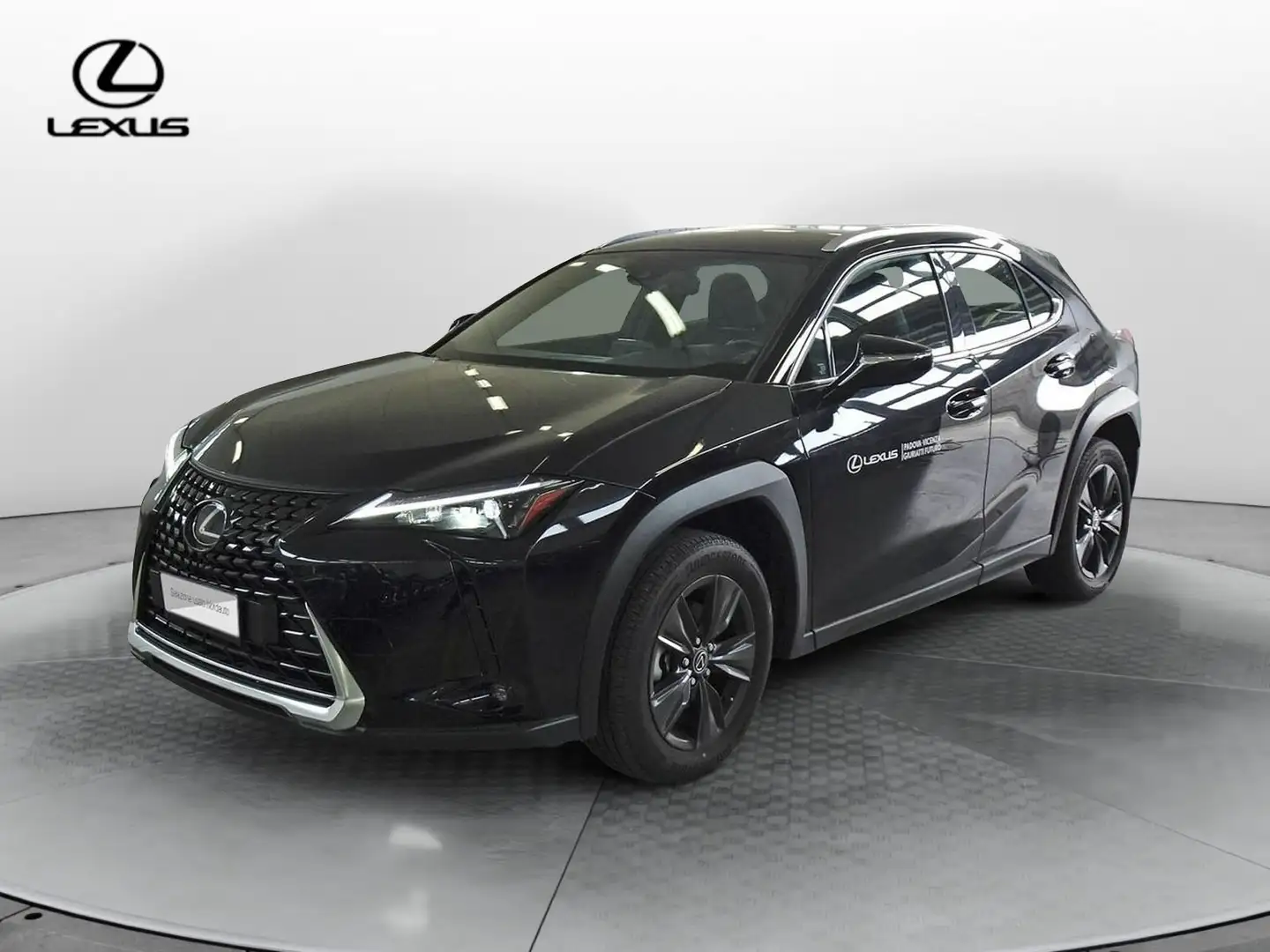 Lexus UX 250h UX Hybrid Urban Grau - 1
