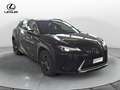 Lexus UX 250h UX Hybrid Urban Grau - thumbnail 3