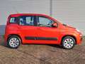 Fiat Panda 1.2 Edizione Cool Airco | Trekhaak | Elektrische r Rouge - thumbnail 5