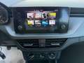 Skoda Kamiq 1.0 tsi Ambition 95cv "APP CONNECT"ACC"RADAR" Nero - thumbnail 15
