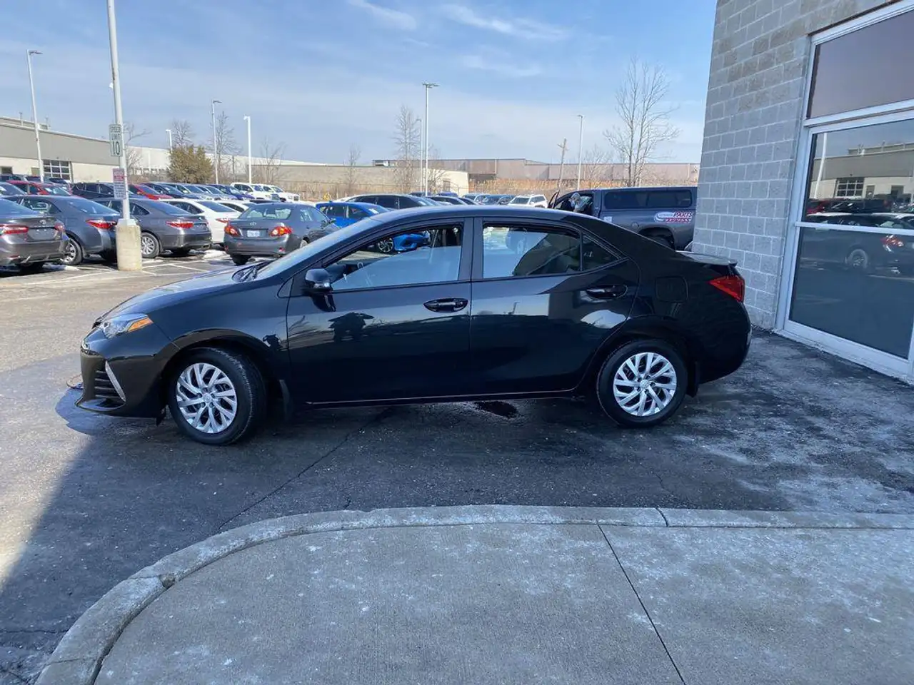 Toyota Corolla photo Toyota Corolla