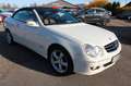 Mercedes-Benz CLK 200 K *AVANTGARDE*LEDER BRAUN*Keyless Go Weiß - thumbnail 19