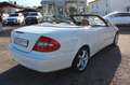 Mercedes-Benz CLK 200 K *AVANTGARDE*LEDER BRAUN*Keyless Go Weiß - thumbnail 8