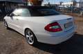 Mercedes-Benz CLK 200 K *AVANTGARDE*LEDER BRAUN*Keyless Go Weiß - thumbnail 23