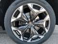 CUPRA Terramar 2.0 TSI 195 kW 4Drive VZ 2.0TSI AHK ACC el. Hk ... Grau - thumbnail 4