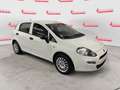 Fiat Punto 1.2 8V 5 porte Street Bianco - thumbnail 2