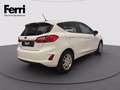 Ford Fiesta 5p 1.1 Plus 85cv my19.5 Bianco - thumbnail 4