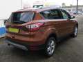 Ford Kuga Titanium Bronzo - thumbnail 6