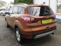 Ford Kuga Titanium Bronzo - thumbnail 4