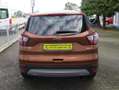 Ford Kuga Titanium Bronzo - thumbnail 5