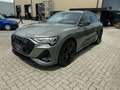 Audi e-tron 50 quattro S edition 71 kWh cruise, clima, virtual Grijs - thumbnail 24