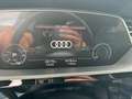 Audi e-tron 50 quattro S edition 71 kWh cruise, clima, virtual Grijs - thumbnail 18
