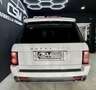 Land Rover Range Rover 4.4 TdV8 Vogue+ Aut. White - thumbnail 8