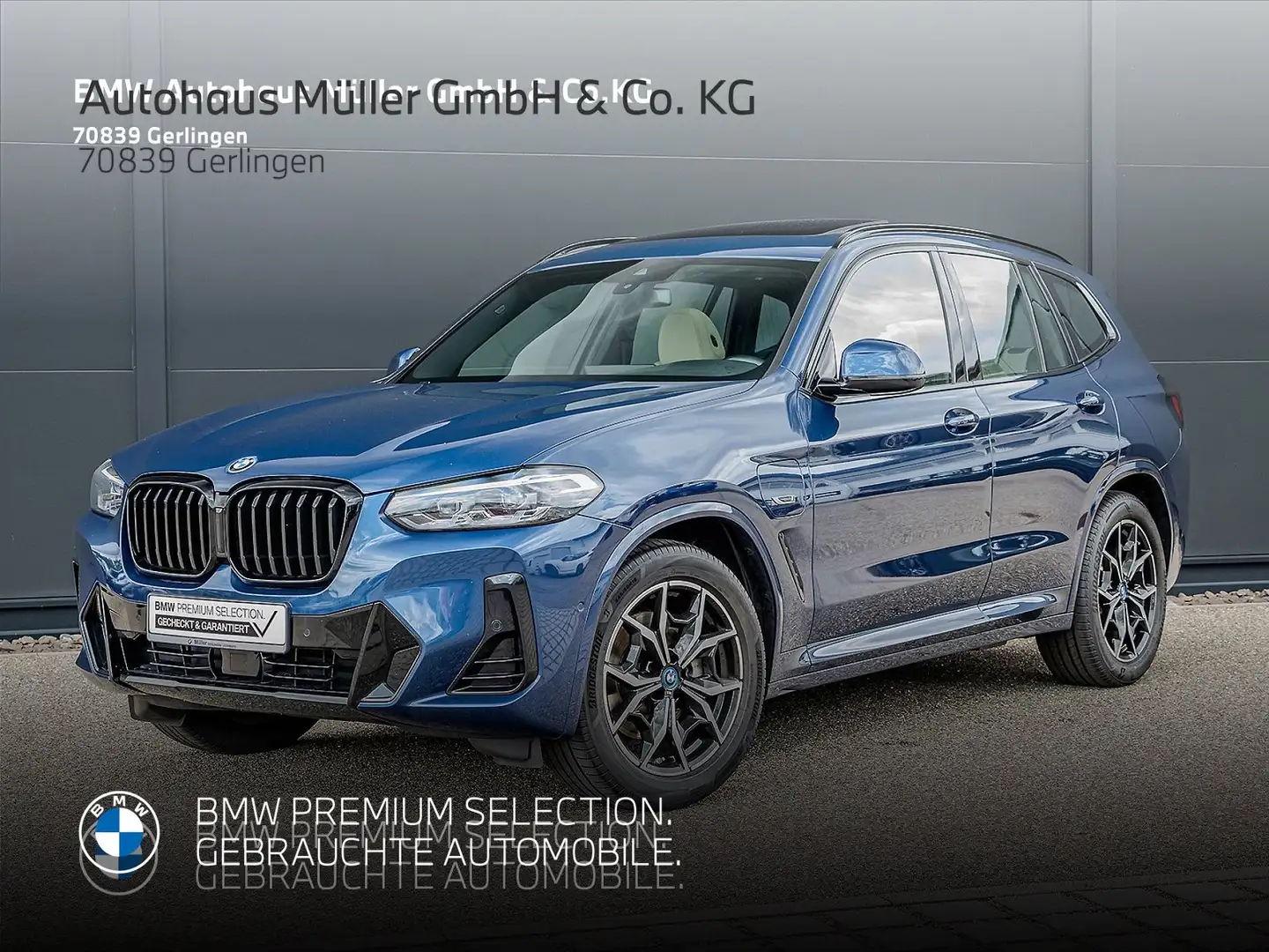 BMW X3 xDrive30e A M Sportpaket GSD ACC Kamera 1VB Blau - 1