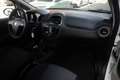 Fiat Punto Evo FIAT Punto 1.3 MultiJet II EASY 75cv DPF VAN ANNO 2014 Weiß - thumbnail 3