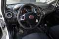 Fiat Punto Evo FIAT Punto 1.3 MultiJet II EASY 75cv DPF VAN ANNO 2014 Weiß - thumbnail 8