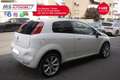 Fiat Punto Evo FIAT Punto 1.3 MultiJet II EASY 75cv DPF VAN ANNO 2014 Weiß - thumbnail 13