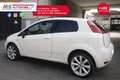 Fiat Punto Evo FIAT Punto 1.3 MultiJet II EASY 75cv DPF VAN ANNO 2014 Weiß - thumbnail 14