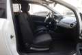 Fiat Punto Evo FIAT Punto 1.3 MultiJet II EASY 75cv DPF VAN ANNO 2014 Weiß - thumbnail 6